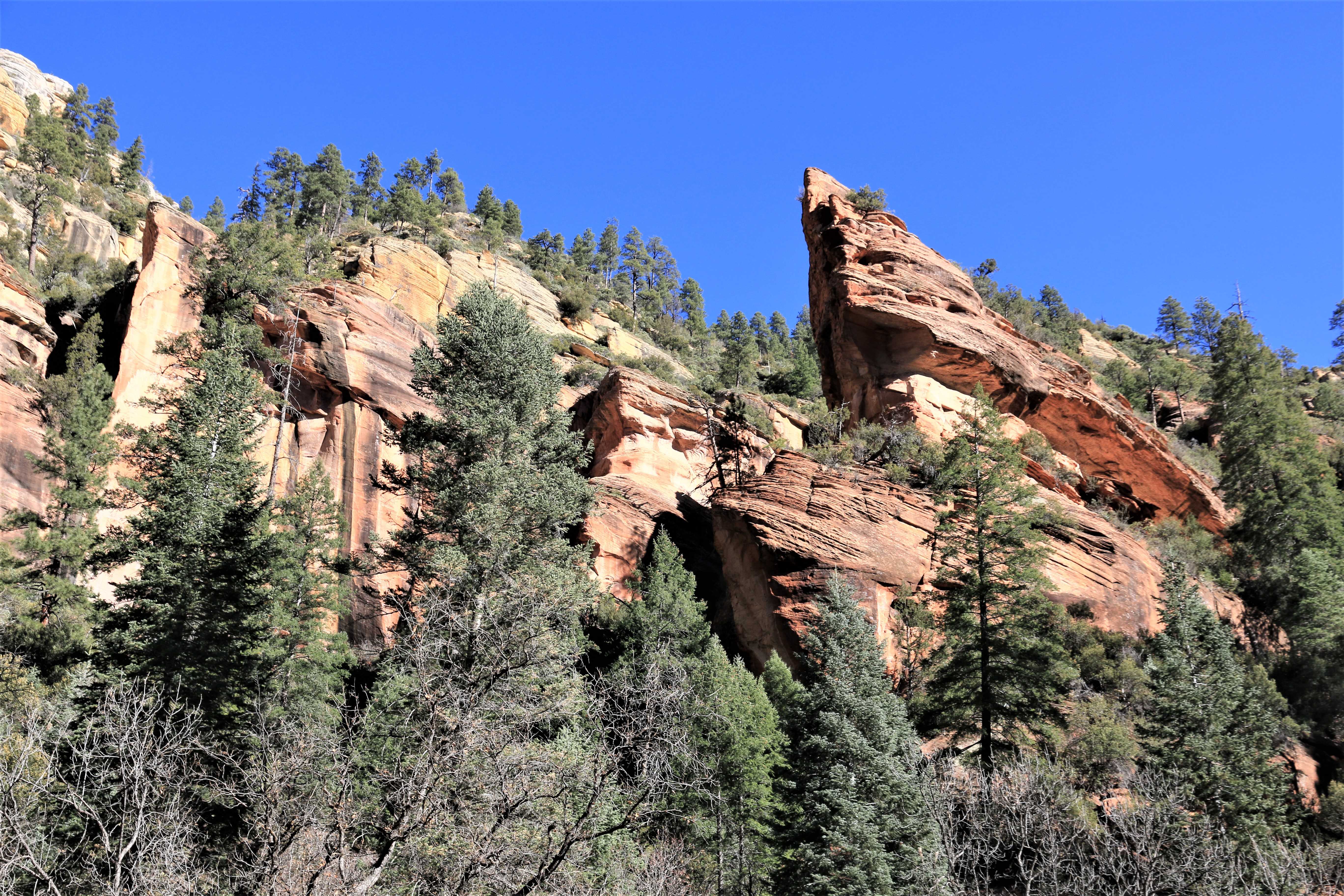 Sedona